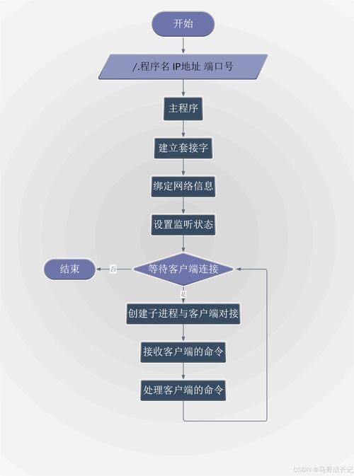 Linux网盘 编程者的技术赋能与价值创造